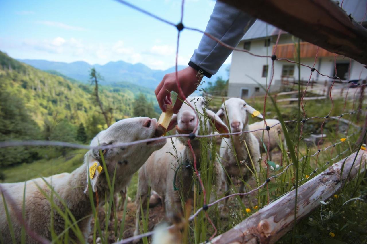 Apartma Gorski Razgled Srednja Vas v Bohinju Bagian luar foto