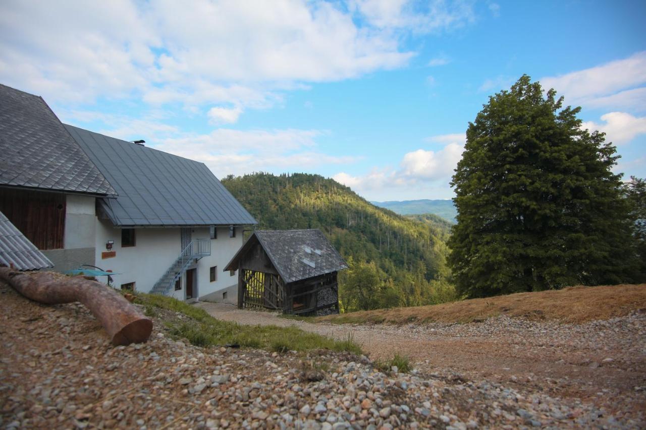 Apartma Gorski Razgled Srednja Vas v Bohinju Bagian luar foto