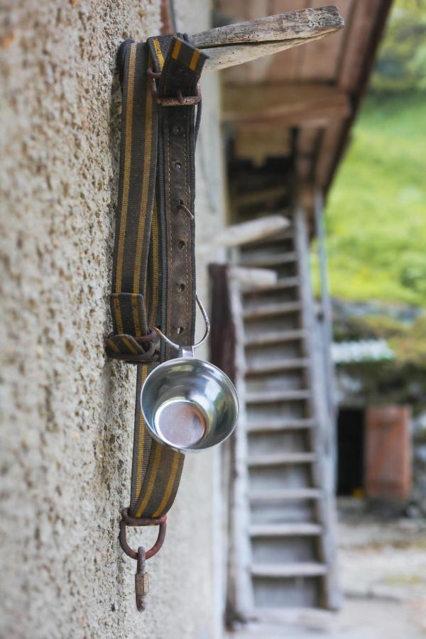Apartma Gorski Razgled Srednja Vas v Bohinju Bagian luar foto