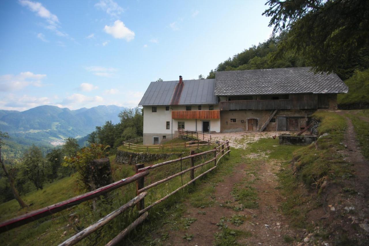Apartma Gorski Razgled Srednja Vas v Bohinju Bagian luar foto