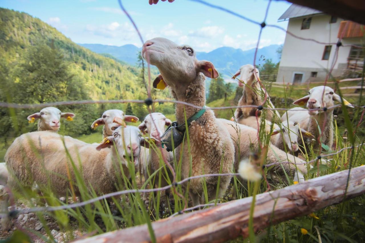 Apartma Gorski Razgled Srednja Vas v Bohinju Bagian luar foto