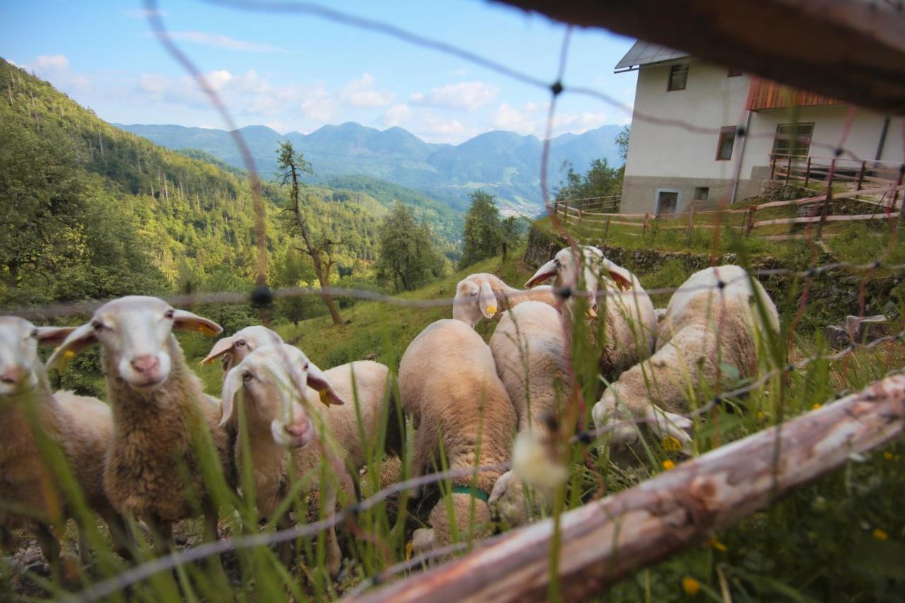 Apartma Gorski Razgled Srednja Vas v Bohinju Bagian luar foto