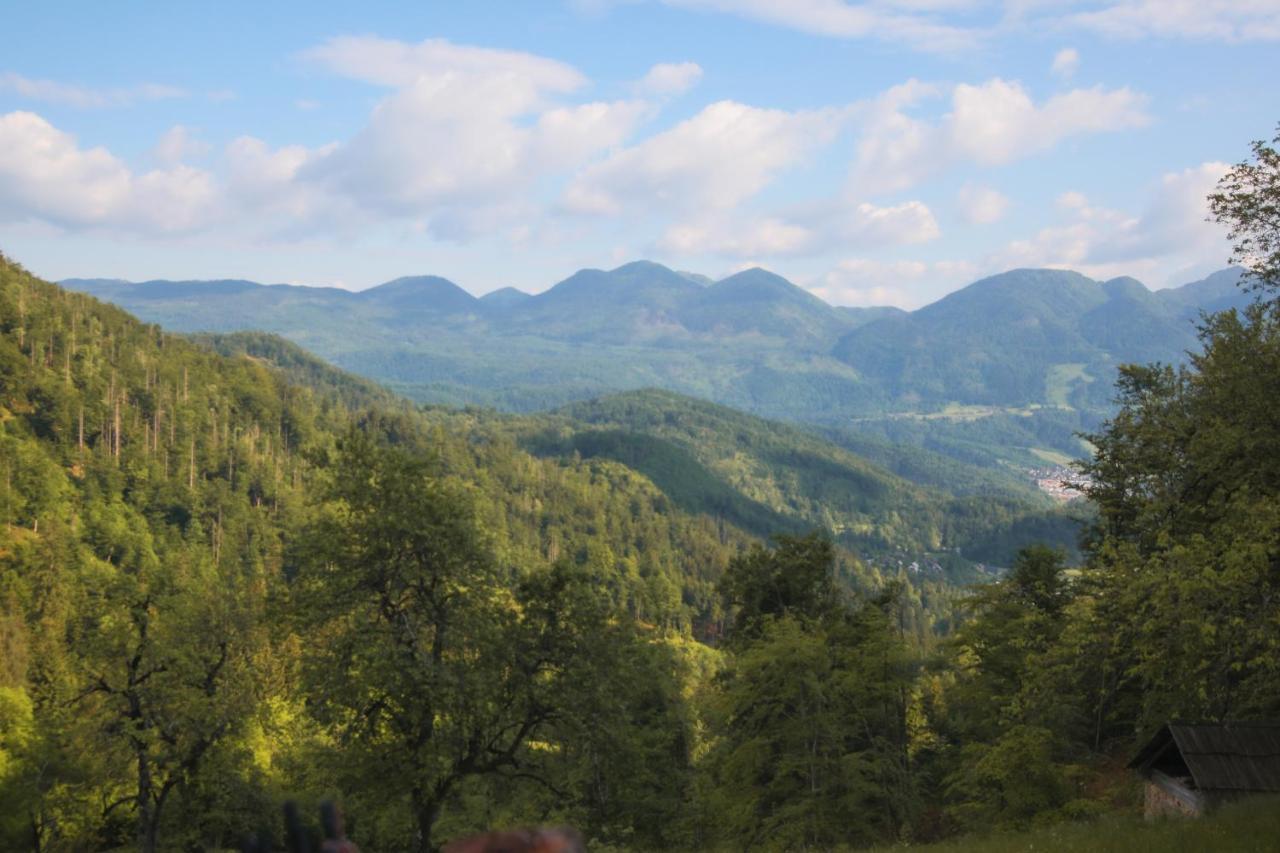 Apartma Gorski Razgled Srednja Vas v Bohinju Bagian luar foto