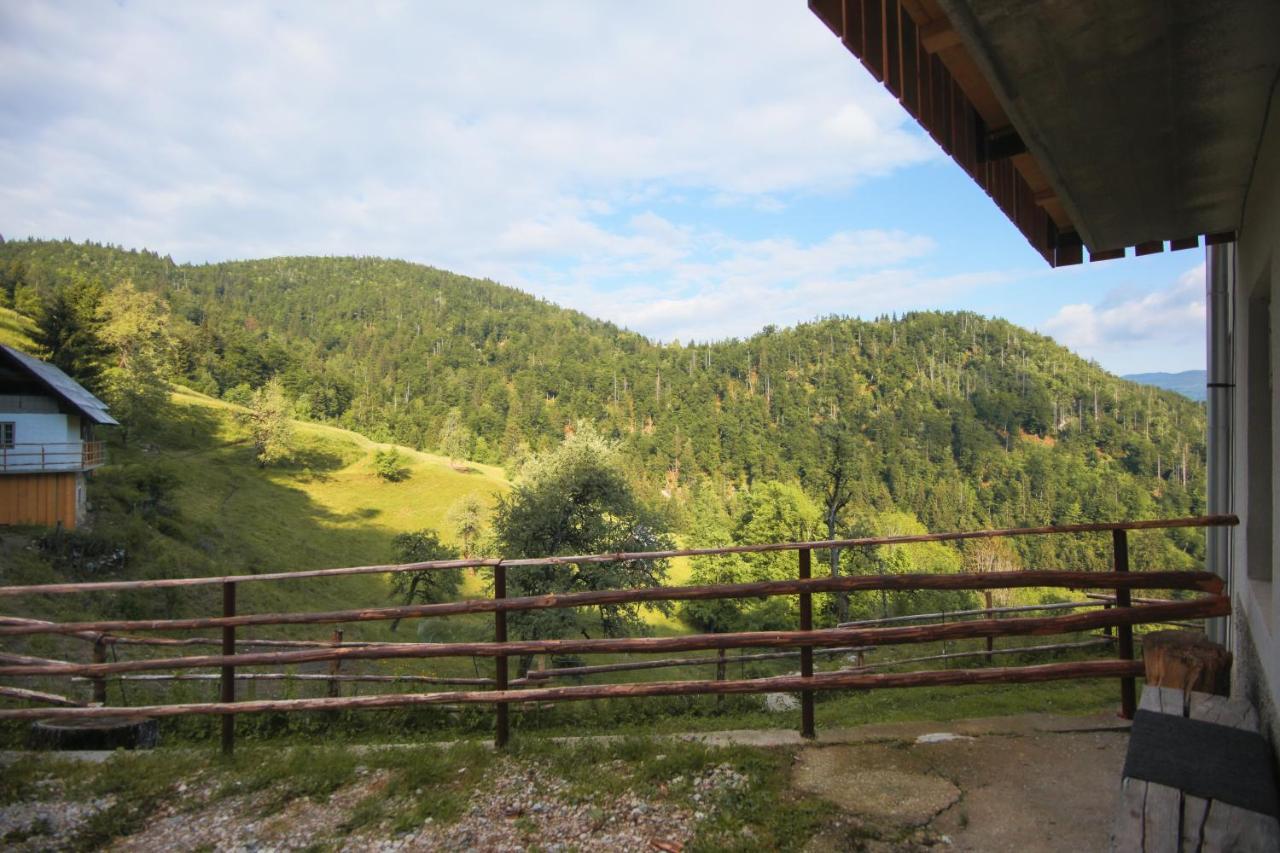 Apartma Gorski Razgled Srednja Vas v Bohinju Bagian luar foto
